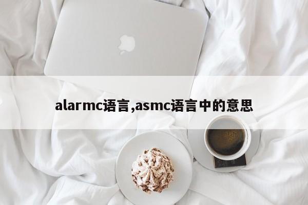 alarmc语言,asmc语言中的意思