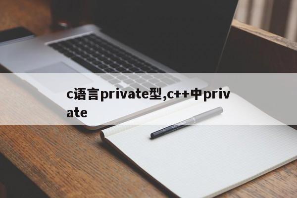 c语言private型,c++中private