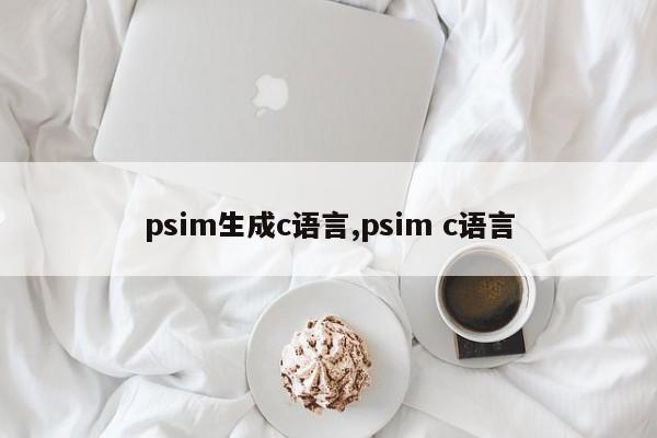 psim生成c语言,psim c语言