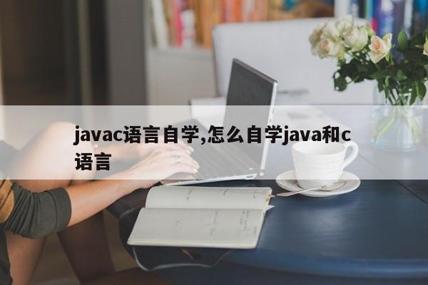 javac语言自学,怎么自学java和c语言