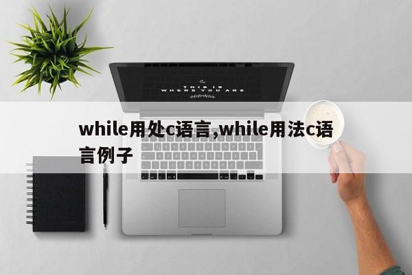 while用处c语言,while用法c语言例子