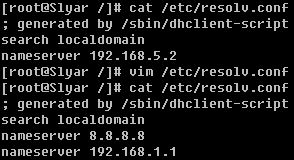 配置dnslinux命令,linux命令行配置dns