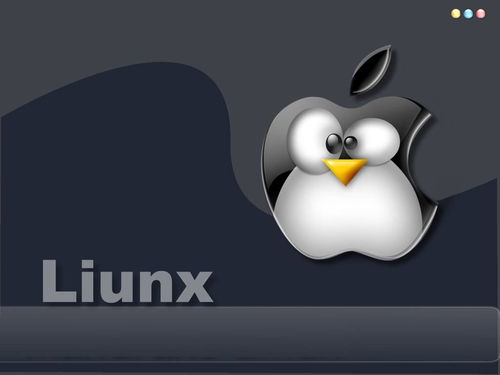 linux回到命令,linux命令怎么回到桌面
